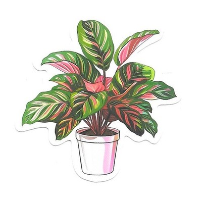 Calathea Ornata Pinstripe Plant Vinyl Sticker Die Cut Journal Scrapbook