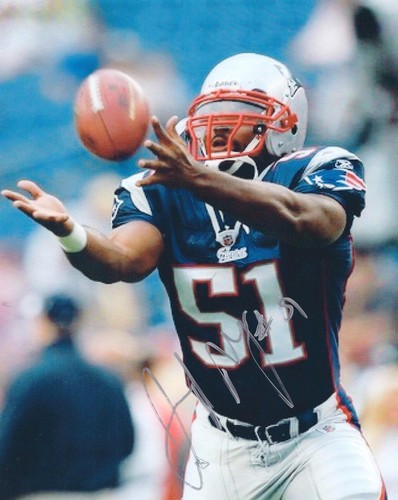 Jerod Mayo Signed Autographed 8x10 photo New England Patriots Multiple Available - Picture 3 of 6