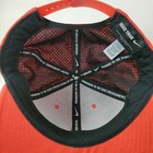 Foto 10 di 11