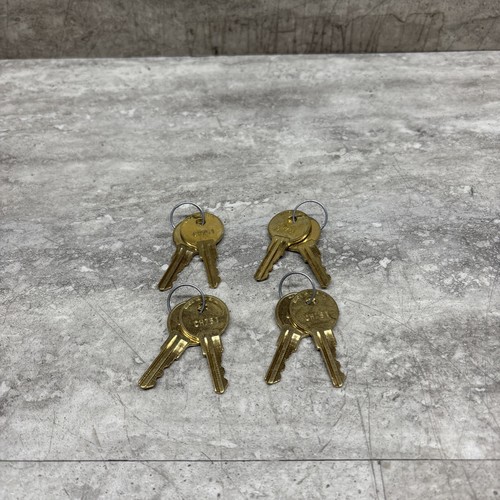 Lot De 8 Clés Southco CH751 Pour Loquet - Neuves (légers Défauts Possibles)