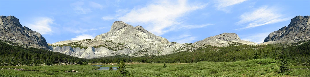 Picture 1