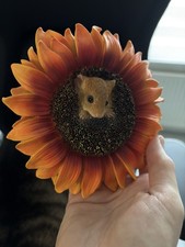 Hanging Harvest Mouse In Sunflower Resin Garden Home Ornament 14cm X 14cm X 4cm