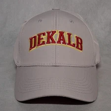 Top Of The World Dekalb Seed Corn Snapback Cap Hat Gray Red Embroidered