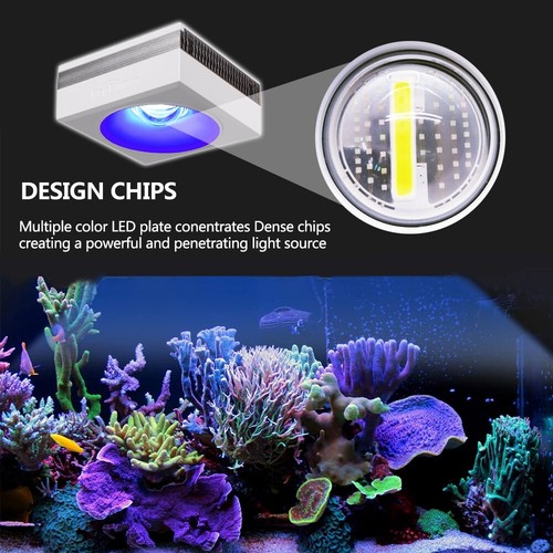 PopBloom 60W 90W WiFi Reef LED Aquarium Lighting for Marine Fish Coral SPS LPS - Picture 27 of 30