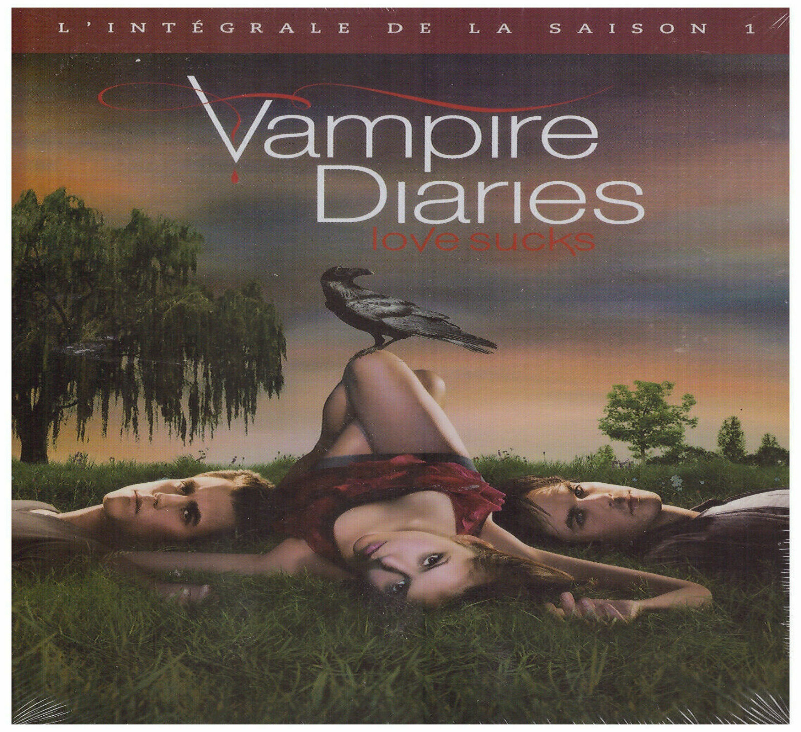 Vampire Diarie Saison 1 Vf Dvd - Vampire Diaries saison 1 - Neuf sous blister 5051889071303 | eBay