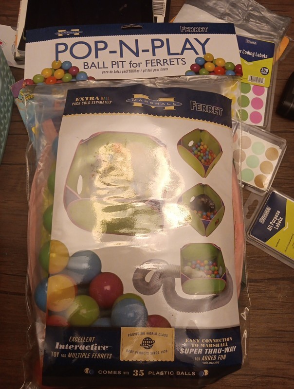 Ferret Pop-N-Play Ball Pit Interactive Toy 35 Plastic Balls Green Folds Flat New