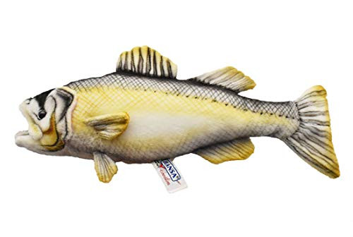 Sea Bass No6052 NEW - Picture 1 of 9