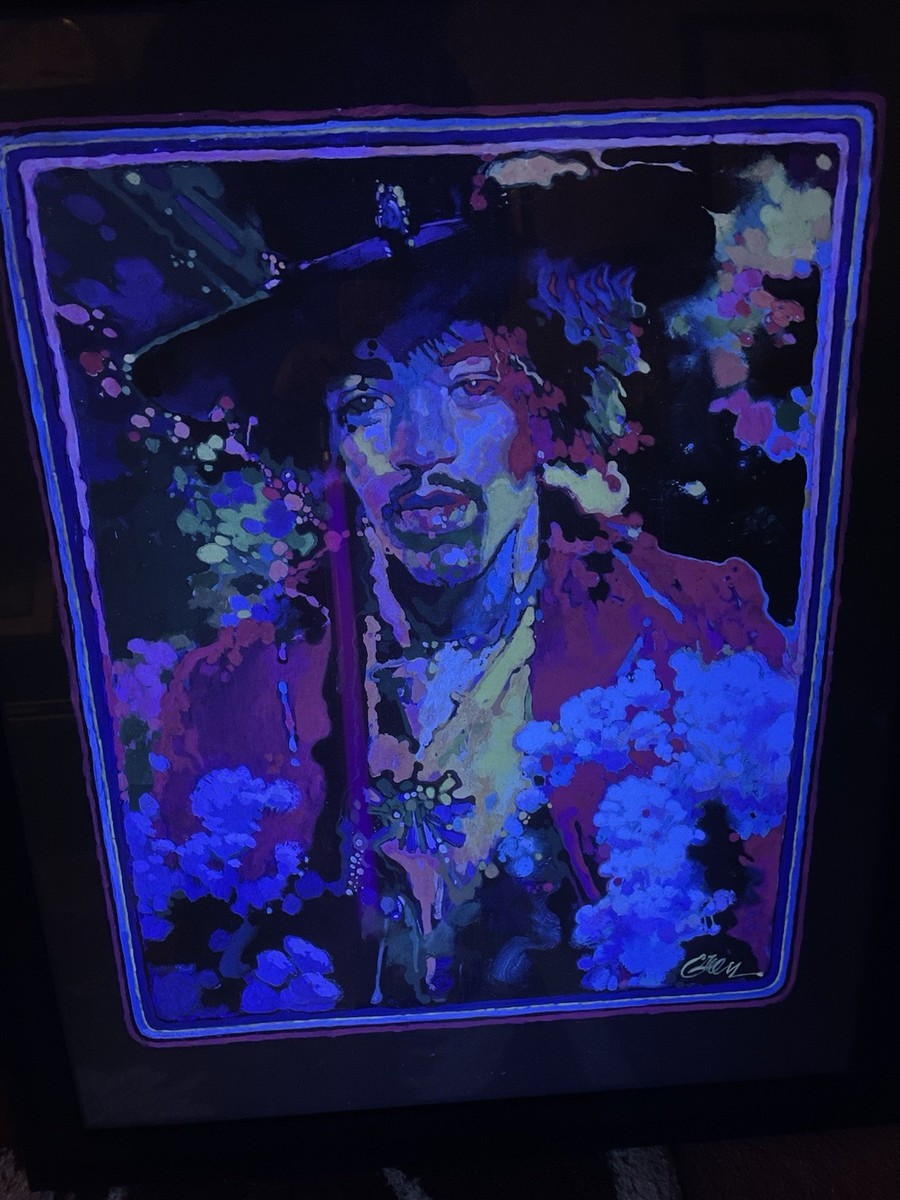 Jimi Hendrix ライブアートボード 大判 Jimi Hendrix Experience 1969 Wire-hair Concert Poster - Music Fan