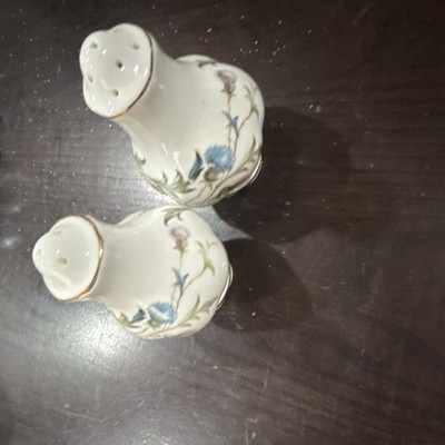 Royal Albert Porcelain Floral Salt & Pepper Shakers Set England, Glossy Finish