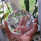 Foto 6 di 9