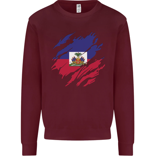 Torn Haiti Flag Haitian Day Football Kids Sweatshirt Jumper - 第 81/97 張圖片