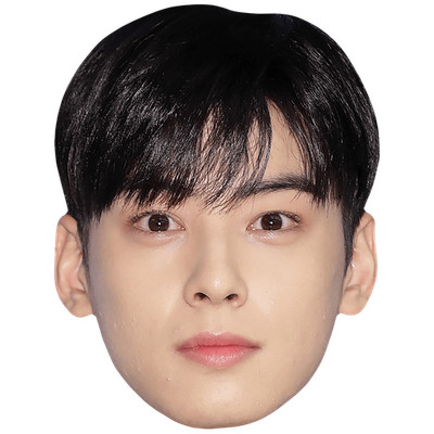 Cha Eun-Woo (Fringe) Big Head. Larger than life mask.