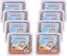 Pine Tree Farms Peanut Butter Suet Cake for Wild Birds 3 lb 8-Pack Energy Boost