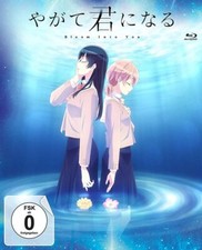 Bloom into You - Volume 3 / Episode 9-13 # BLU-RAY-NEU