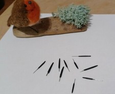 10 bird Beaks (slim)for Needle Felting Robin wren, blue tit  approximate 1.5cm