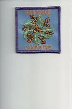 Pax Wood Campsites patch