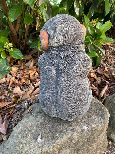 Estatua de mono chimpancé adorno animal concreto cemento jardín hecho en Australia - Imagen 5 de 7