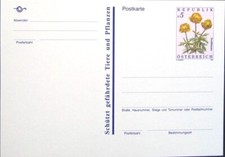 Österreich Postkarte Trollblume 1992 / postcard