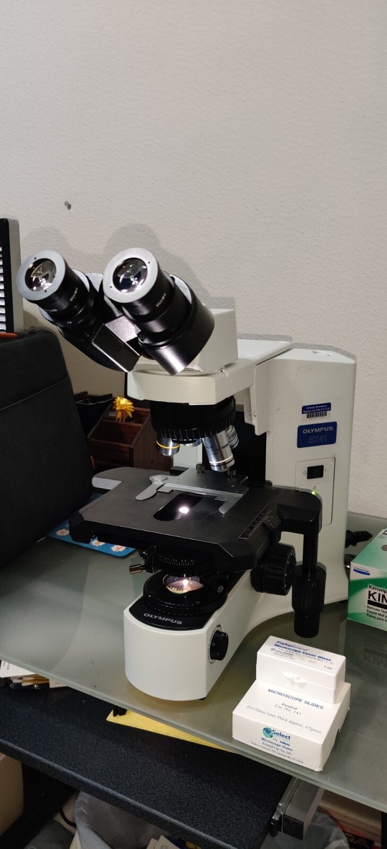 Olympus BX41 Biological Microscope for sale online | eBay Olympus BX41 Biological Microscope for sale online | eBay