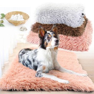 plush dog blanket