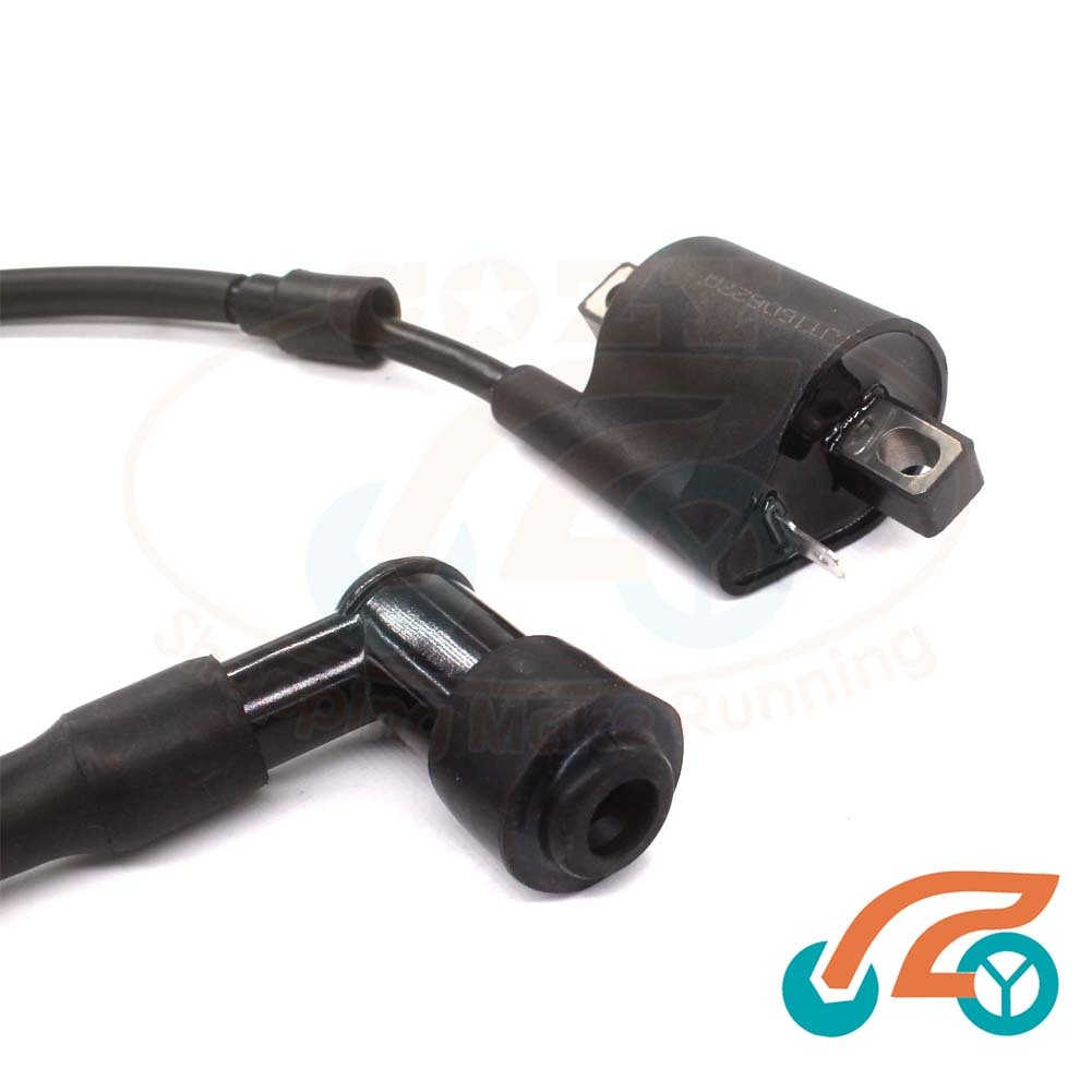 Ignition Coil For Kawasaki Lakota 300 KEF300 1995 - 2003 KX60 KX65 KX125 KX250 - Foto 8