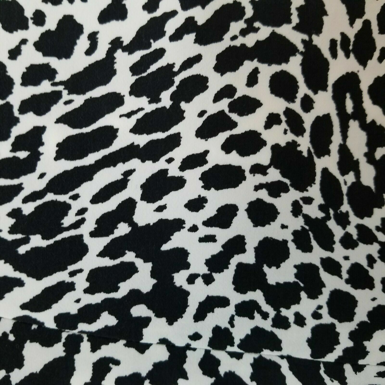 Picture 2 of 12