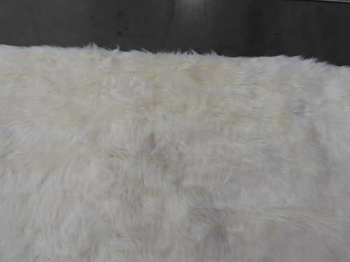 IVORY 6' X 9' Stained Rug, Reduced Price 1172606274 FSS235A-6 - Picture 2 of 4