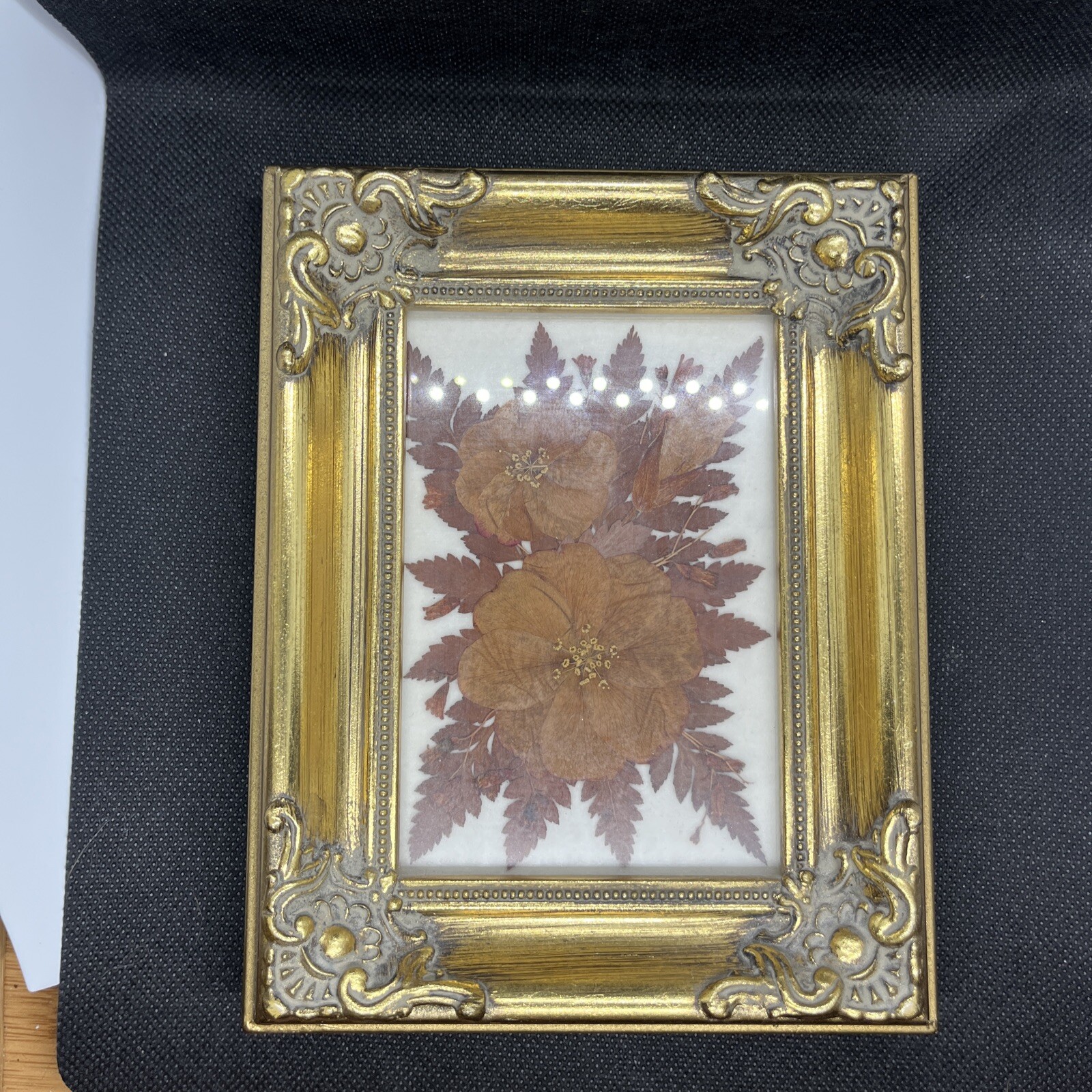 Vintage Pressed Dried Flowers Under Glass w/ Frame Wall Art eBay