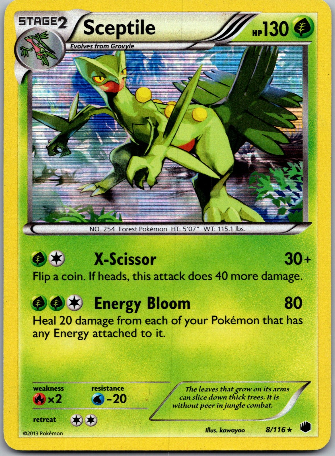 Sceptile Holo Rare Plasma Freeze 8/116 NM