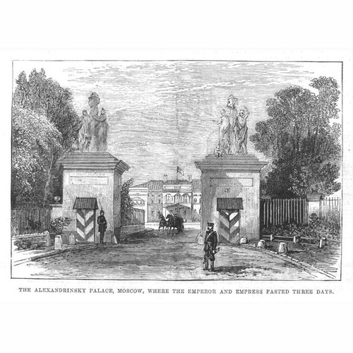 MOSCOW The Alexandrinsky Palace - Antique Print 1883