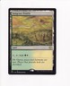 2021 MTG MAGIC COMMANDER: INNISTRAD: MIDNIGHT HUNT SUNGRASS PRAIRIE