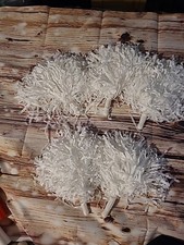 5x White Cheerleaders Pom Poms Great For Sports Event Dance Recitals