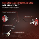 Bild 9 von 10