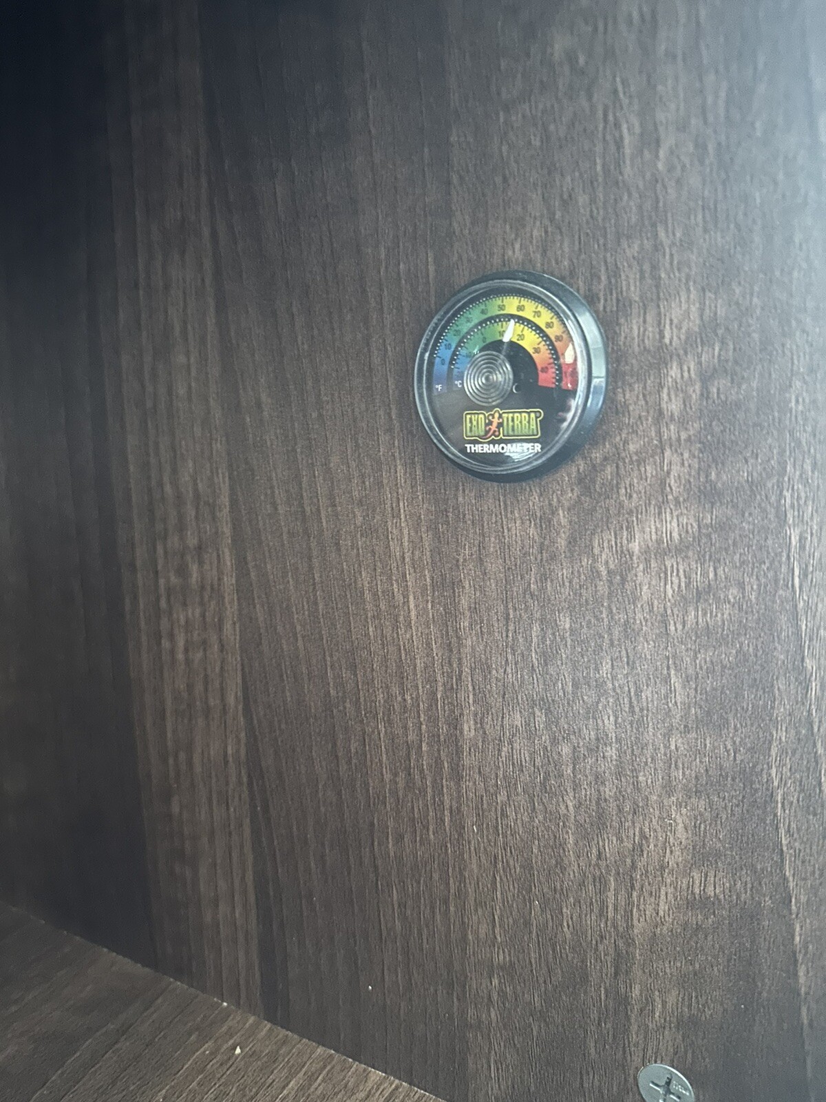 Large Vivarium, Storage, thermostat And Heat Lamp. reptiles, AP