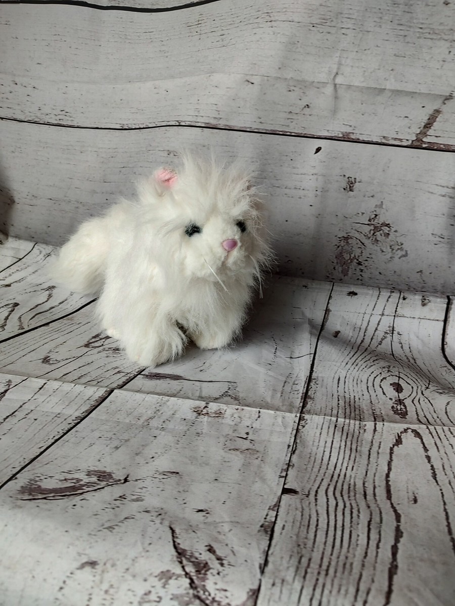 fluffy様 Ganz Webkinz Lil' White Persian Cat 8