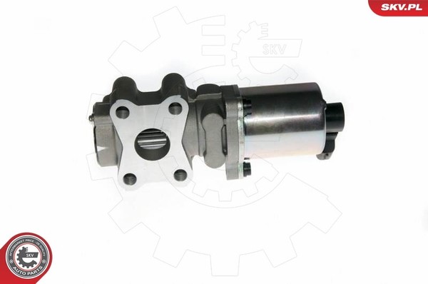 SKV Germany 14SKV088 Agr-Ventil FüR Toyota-image