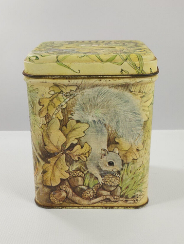Vintage Hallmark latta quadrato risparmio moneta bosco scoiattolo castoro procione - Foto 2 di 14