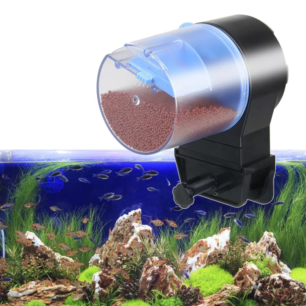 Fish top feeder aquarium