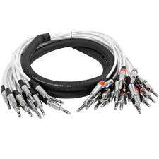 SAST 12 Channel Insert Snake 12 TRS to 24 TS 10 Feet