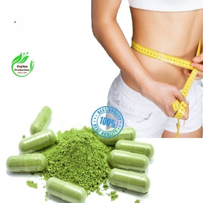 Bio Moringa Blatt Kapseln 600mg natürliche Moringa Oleifera Kräuterergänzung