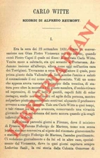 Letteratura - Associazioni - REUMONT - Carlo Witte.