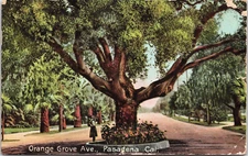 Postcard Pasadena California Orange Grove Avenue Posted 1910