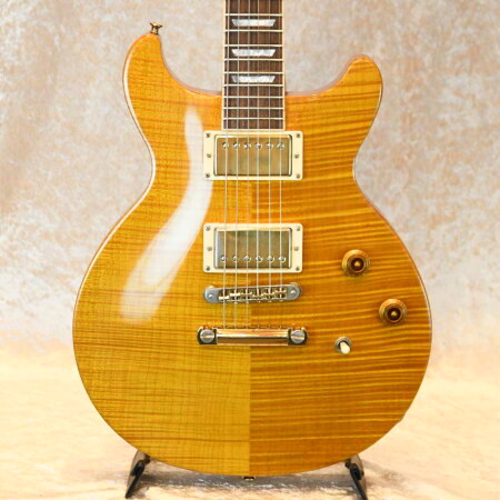 Gibson LES PAUL STANDARD DC PLUS Gibson LES PAUL STANDARD DC PLUS