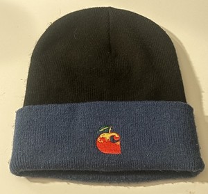 Apple Beanie | eBay