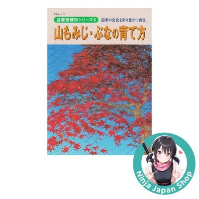 How to grow mountain maple beech: Colorfully expressing the changes of four USED
