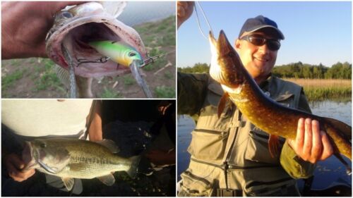 Señuelo de pesca Jerkbait cebo pececillo apretado hundimiento lento M431 - Imagen 8 de 86