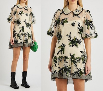 RED VALENTINO May Lily Embroidered Tulle Mini Dress S-2021 sz US S/IT 40  $1300 | eBay