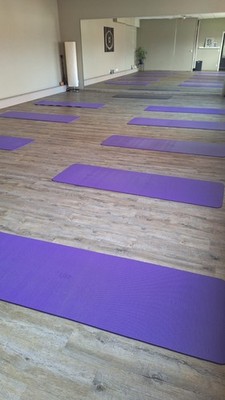 Airex Fitline Pilates Yoga Fitnessmatte 190x60x0,8