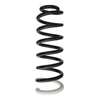 Fahrwerksfeder Hinterachse Schraubenfeder Ø108Mm Spidan FüR U.A. CitroËN C5