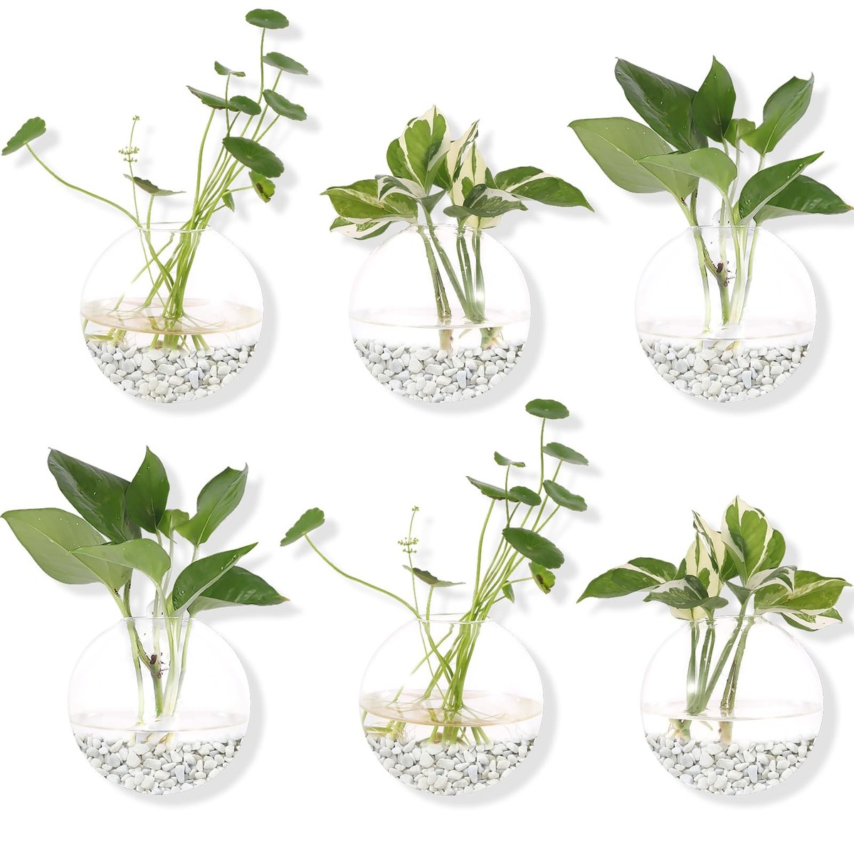 Hanging Wall Planters Pack of 6 Glass Planter Pots Round Glass Flower Vases  H... | eBay